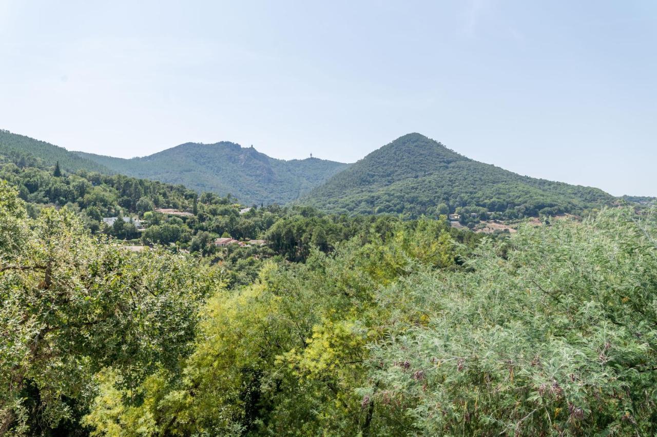 Apartament Le Petit Thao Fréjus Zewnętrze zdjęcie